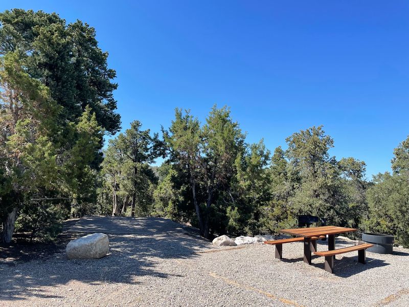 Ward Mountain Campground - Ely
