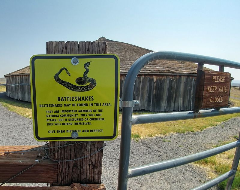Watch Your Step Around Wild Neighbors