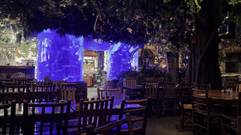 Waterfalls and Aquarium Displays Waterfalls and Aquarium Displays