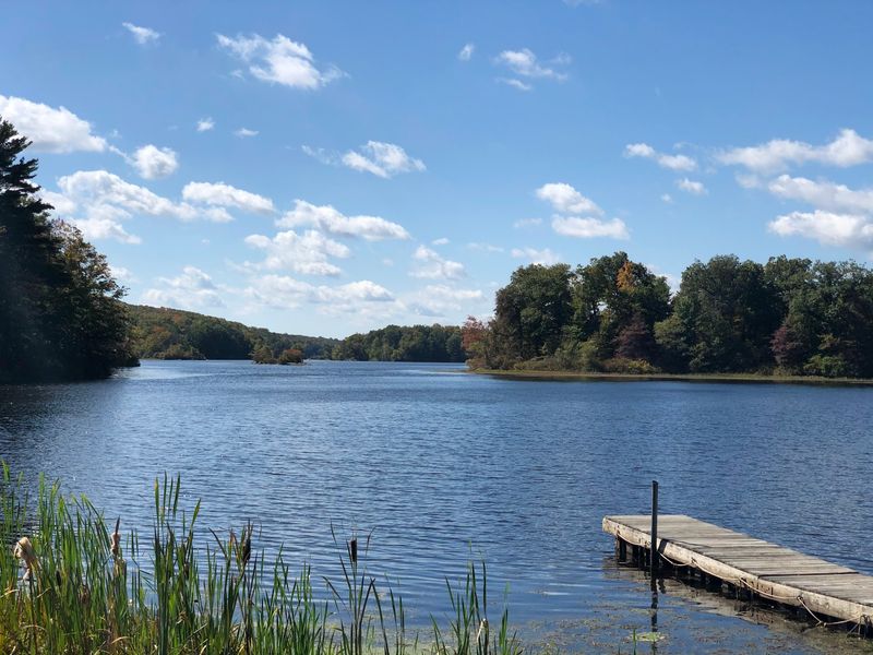 Wawayanda State Park, Hewitt, NJ Wawayanda State Park, Hewitt, NJ