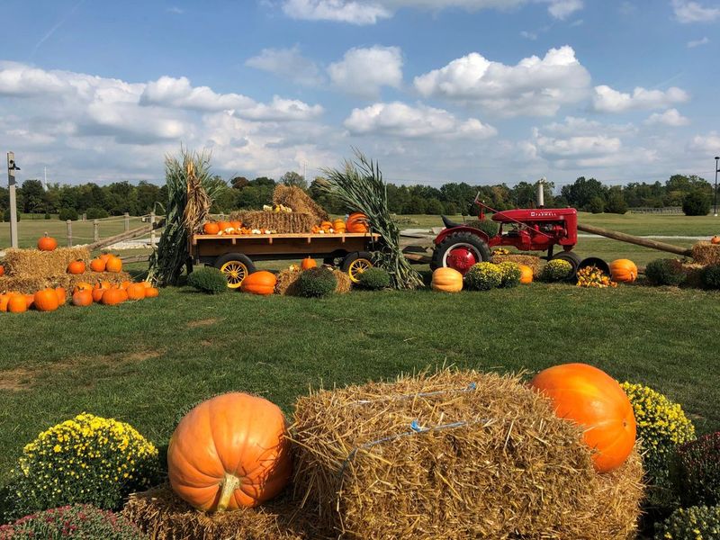 Waynesville Fall Fest Waynesville Fall Fest