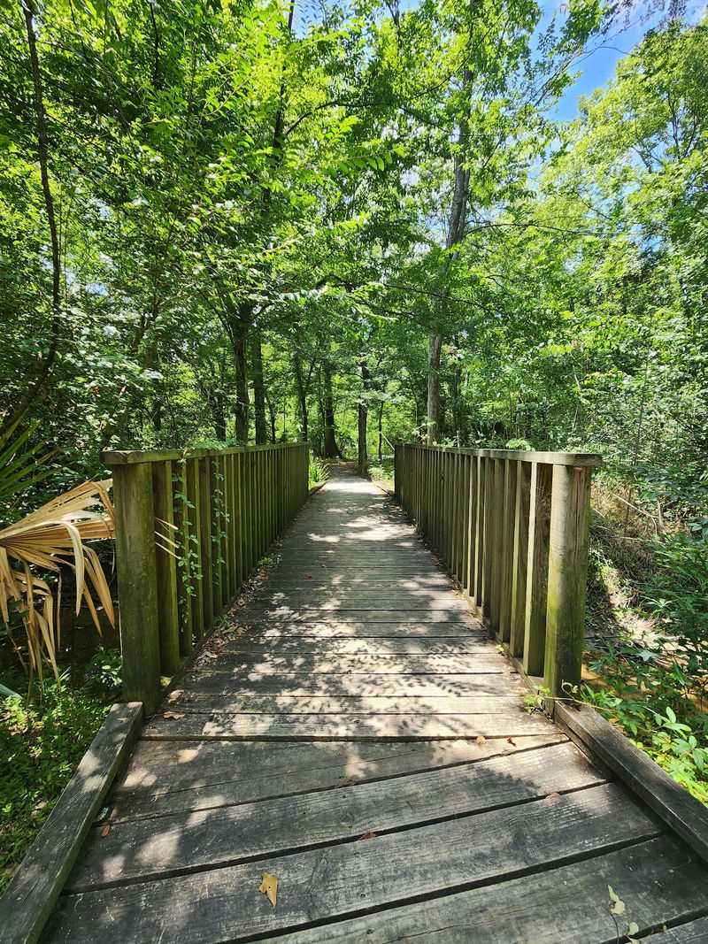 Wetlands Where The Boardwalk Takes Over