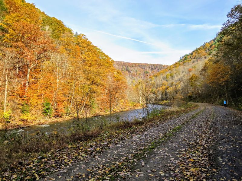When the Canyon Walls Catch Fire With Color