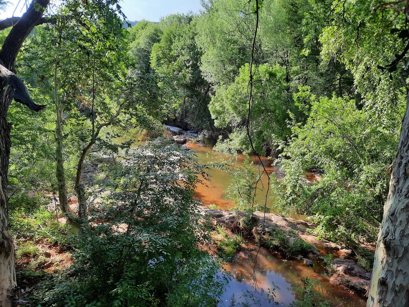 Where Oak Creek Steals the Show