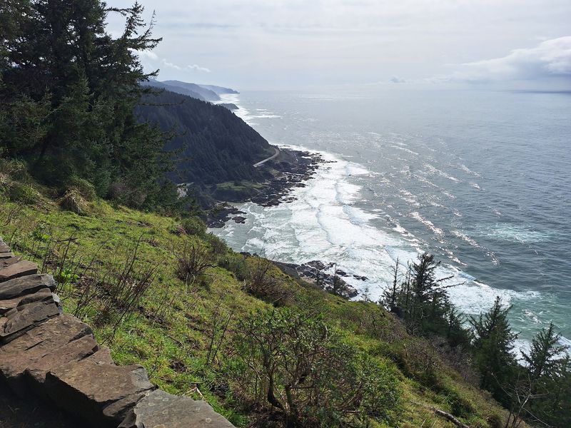 Where Old Growth Forest Meets the Sea Where Old Growth Forest Meets the Sea