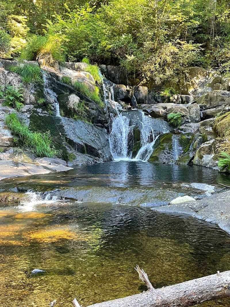 Where Two Creeks Collide