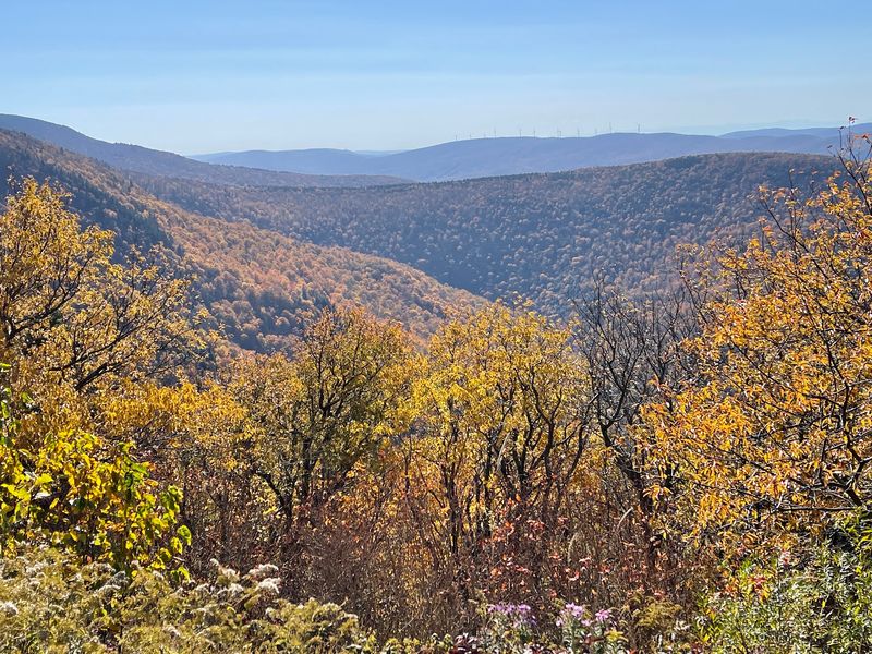 Where a Statewide Park System First Took Root Where a Statewide Park System First Took Root