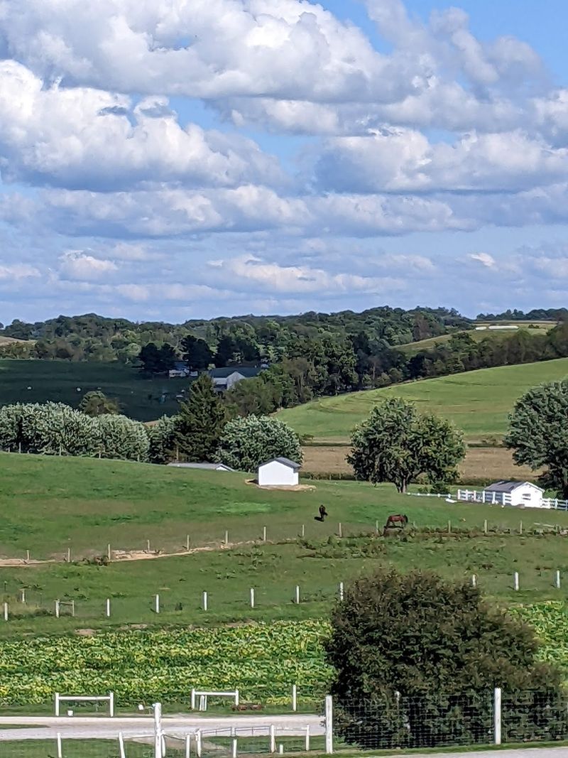 Where the Farm Sits in Holmes County