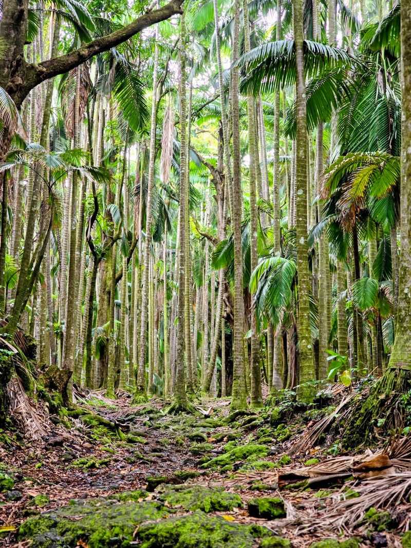 Where the Garden Meets the Trail