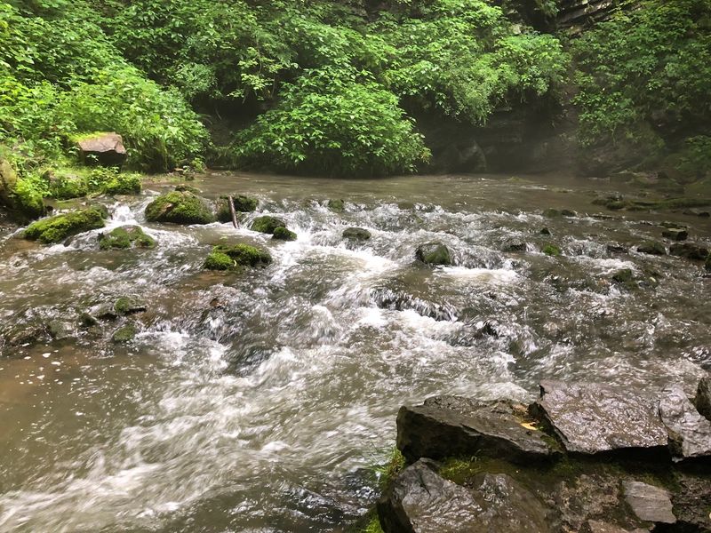 Where the Water Pops Back Up