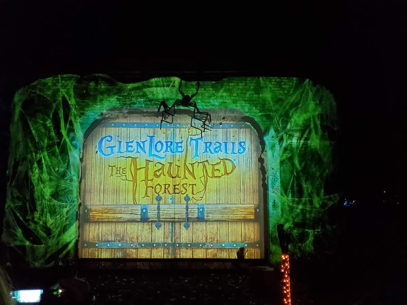 Where the Woods Start Glowing