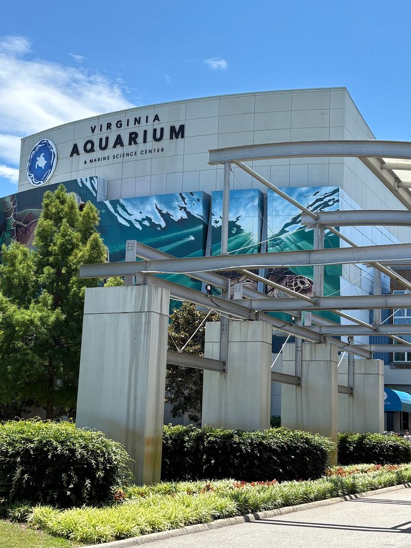 Where to Find It in Virginia Beach