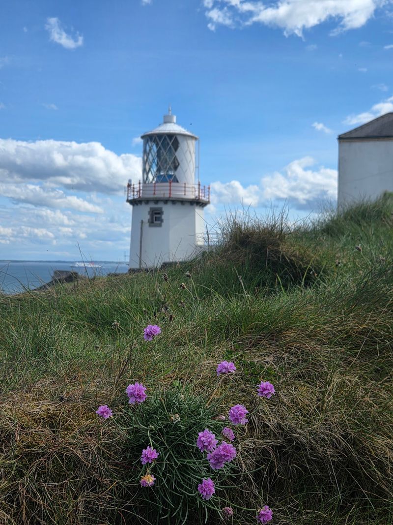 Whitehead and Blackhead Coastal Path, County Antrim, Northern Ireland Whitehead and Blackhead Coastal Path, County Antrim, Northern Ireland