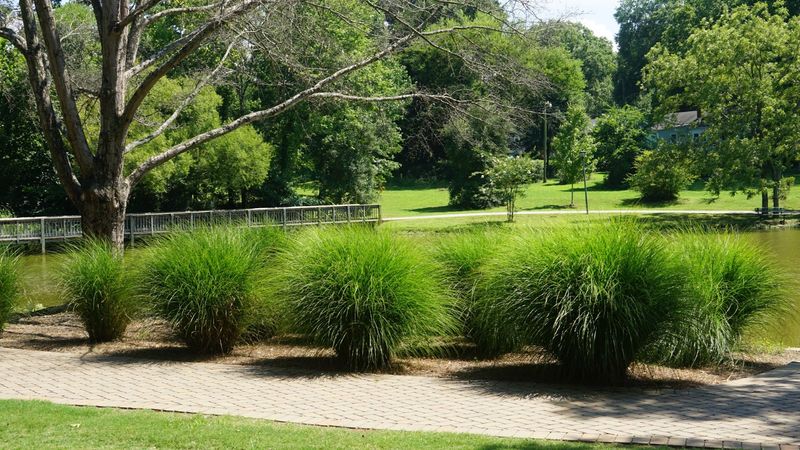 Who Will Love This Easygoing Escape Who Will Love This Easygoing Escape