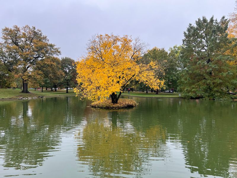 Who Will Love This Park Most Who Will Love This Park Most