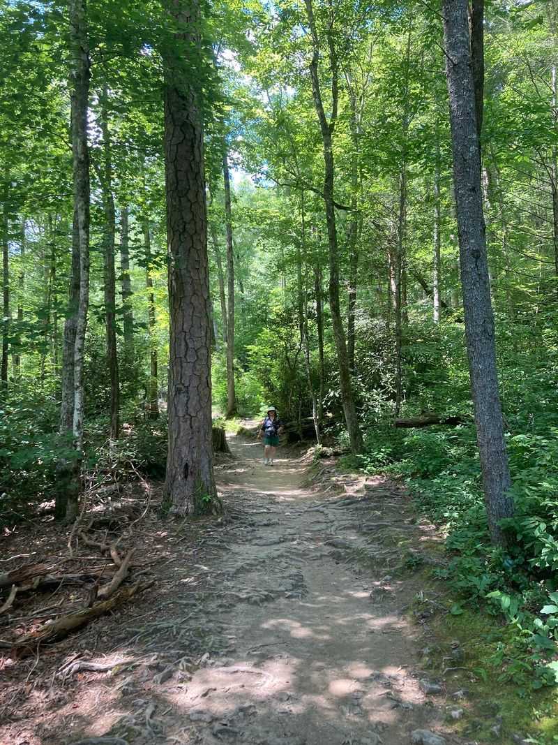 Who Will Love This Trail Most