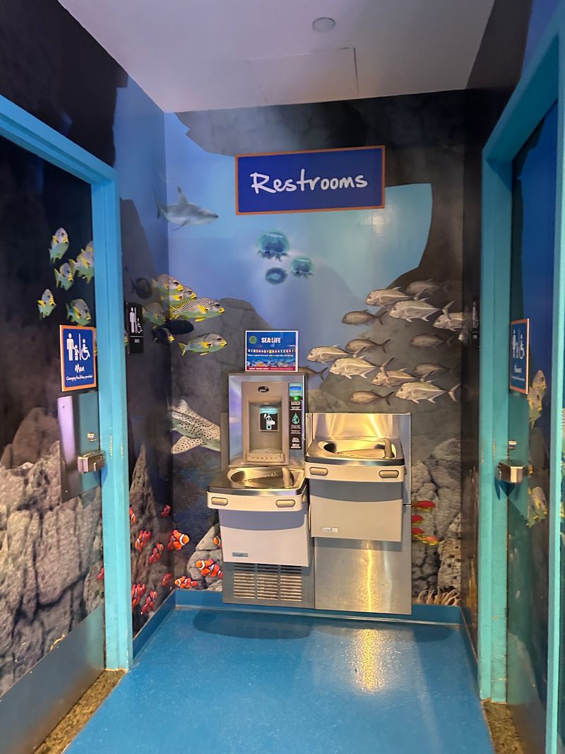 Who Will Love This Underwater Escape Most