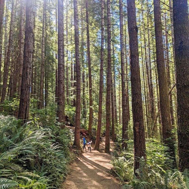 Who Will Love This Walk Who Will Love This Walk