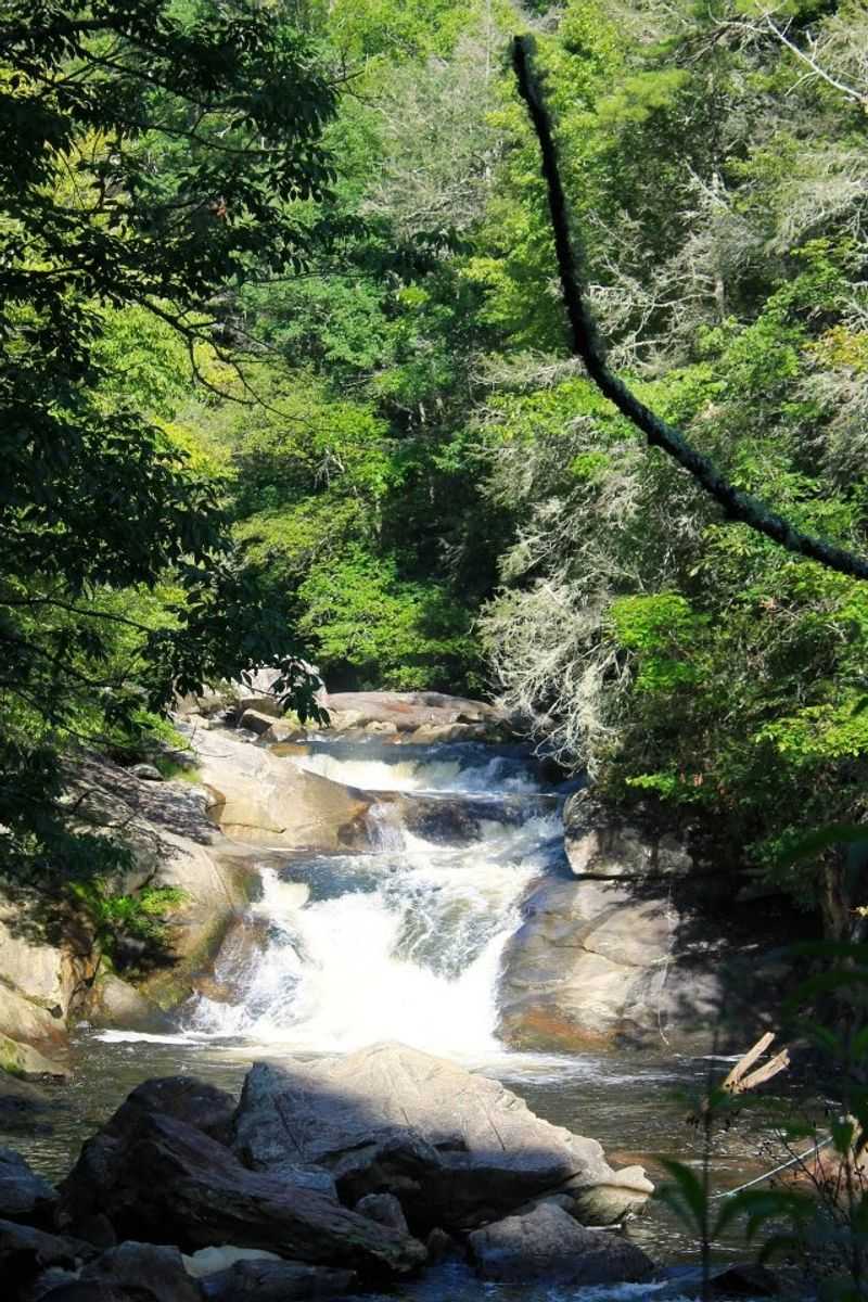 Who Will Love a Day in Highlands Who Will Love a Day in Highlands