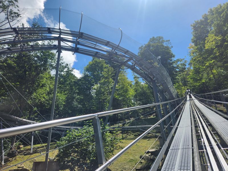 Who Will Love the Ride Most