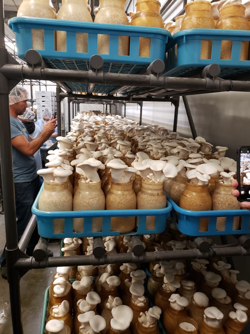 Wholesale Roots With a Neighborly Side Wholesale Roots With a Neighborly Side