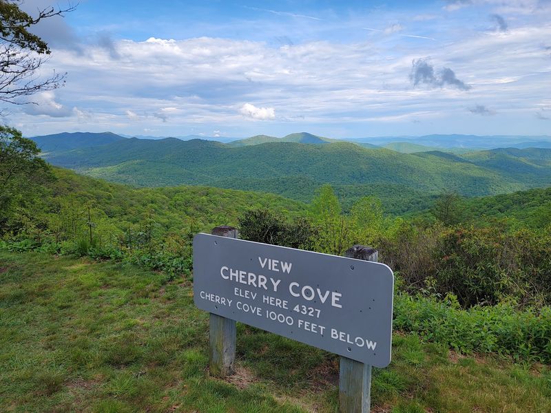 Why Cherry Cove is the clearest starting point Why Cherry Cove is the clearest starting point