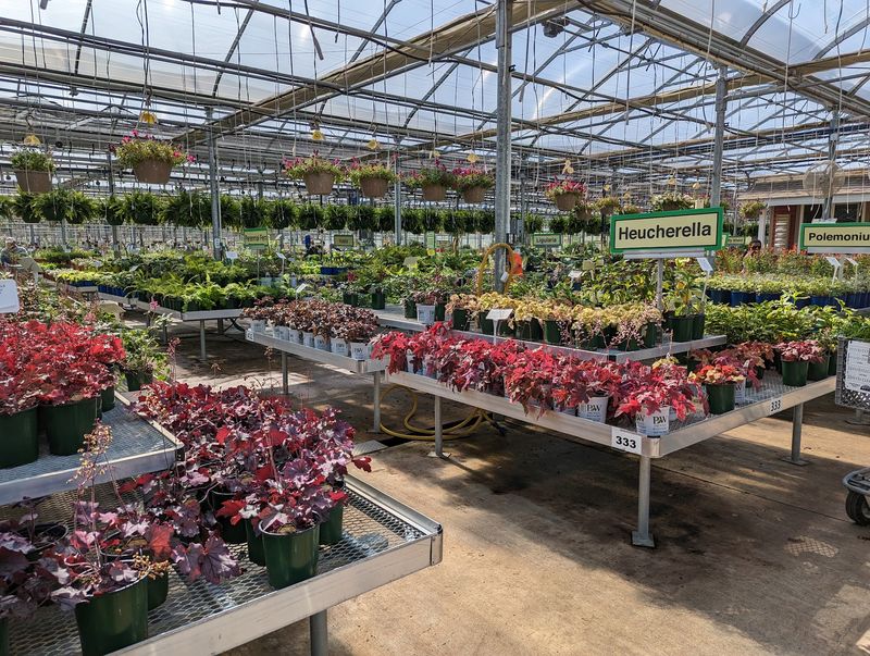 Why Gardeners Keep Coming Back Every Spring Why Gardeners Keep Coming Back Every Spring