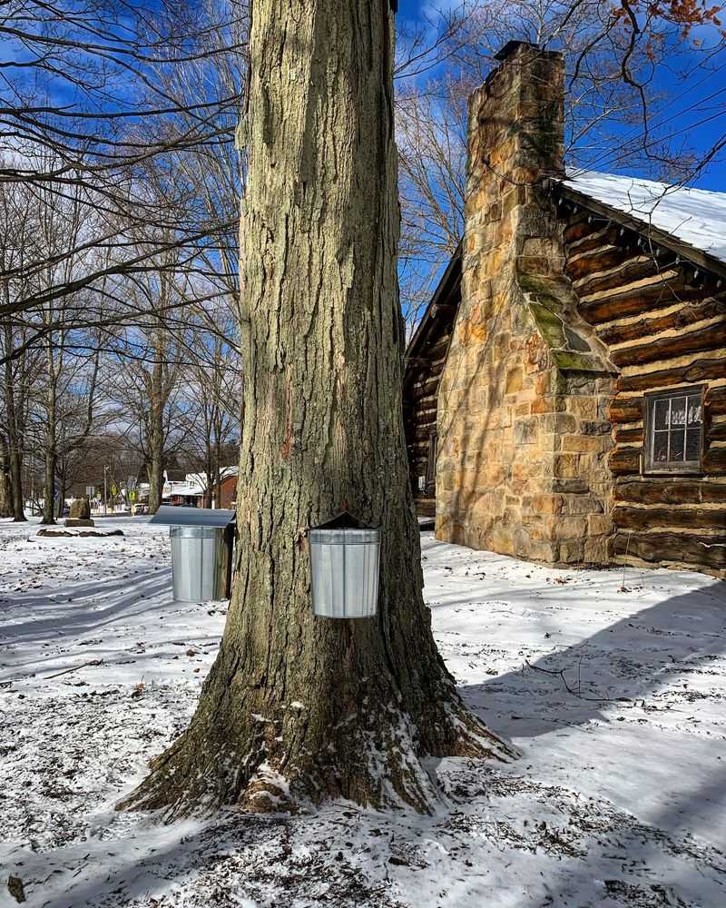 Why Geauga County Is Maple Country Why Geauga County Is Maple Country