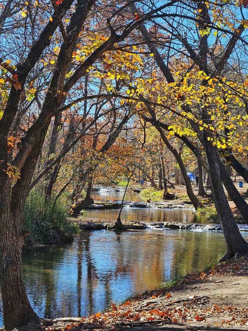 Why Late Fall Feels So Peaceful