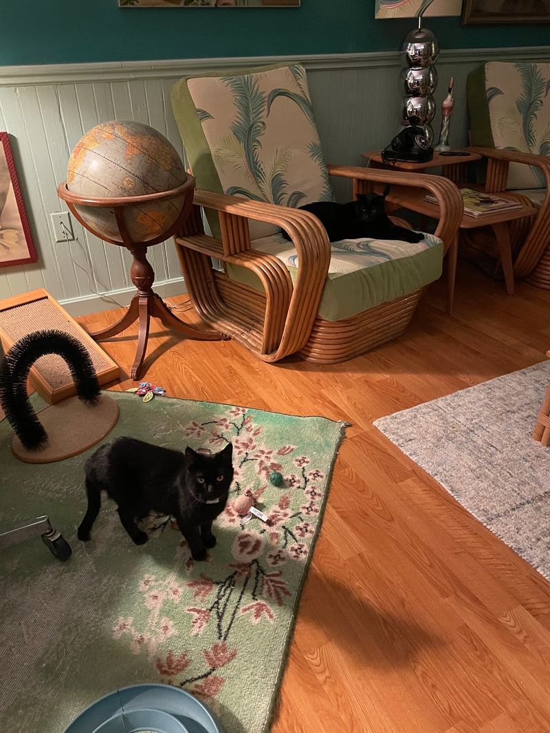 Why Reading Spaces Feel So Welcoming