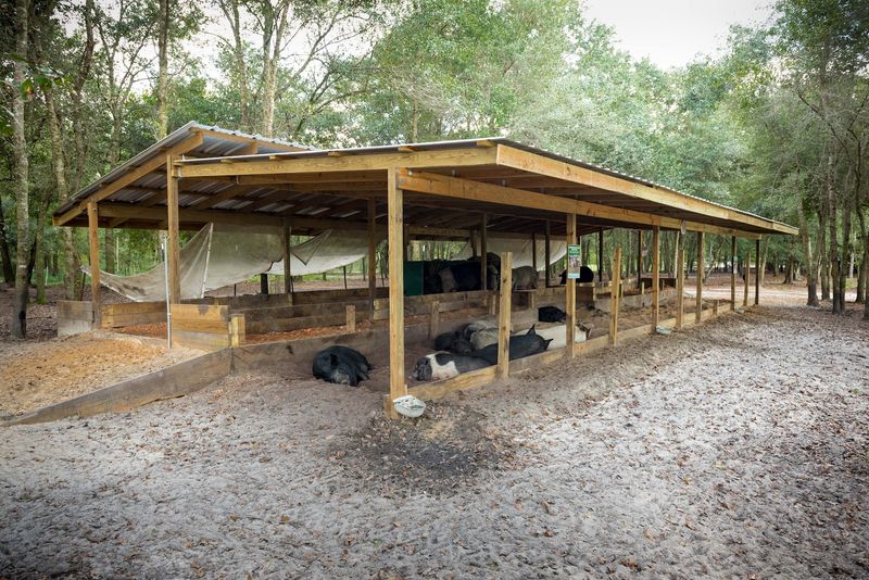Why This Farm Deserves a Spot on Your Florida List Why This Farm Deserves a Spot on Your Florida List