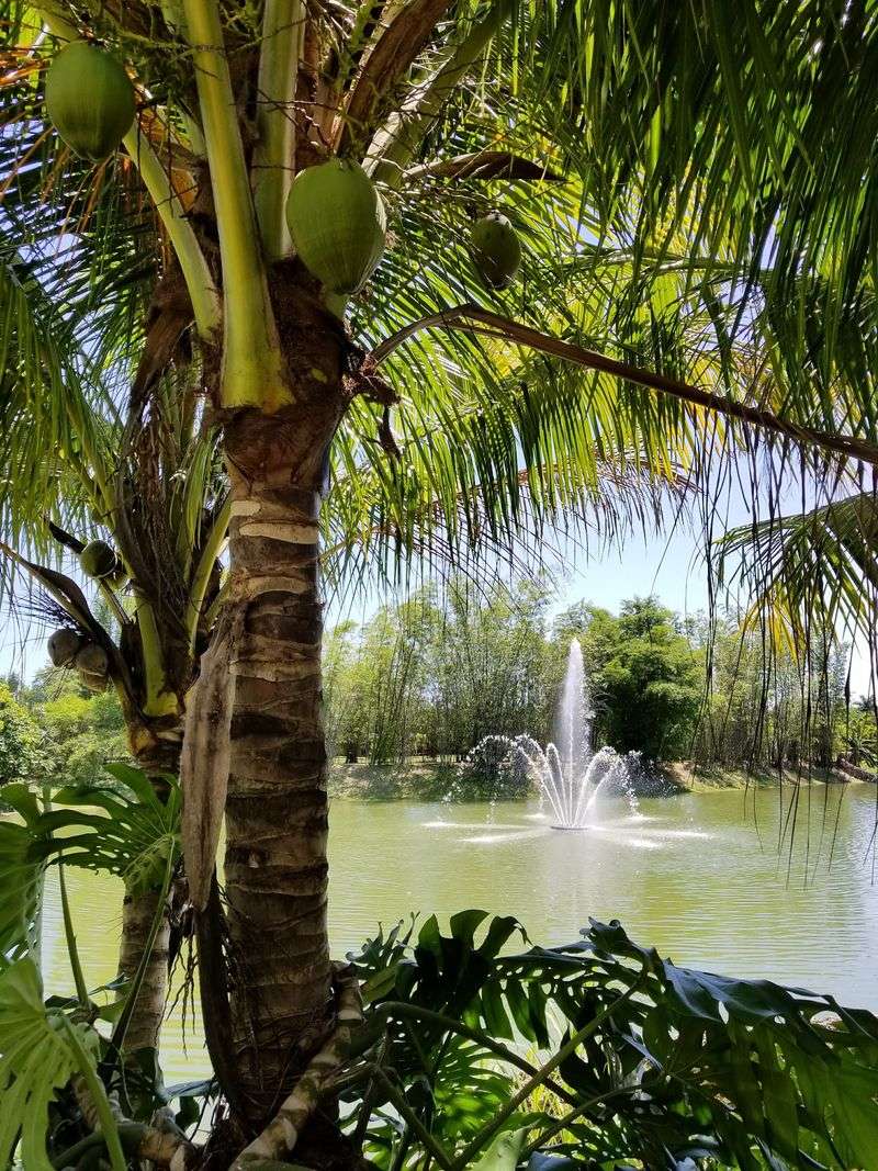 Why This Little Fruit Paradise Earns a Spot on Your List Why This Little Fruit Paradise Earns a Spot on Your List