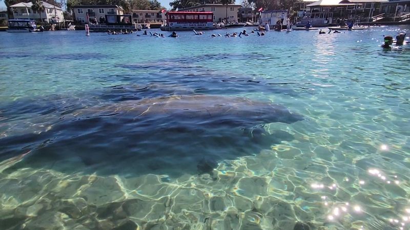 Why This Little Park Deserves a Spot on Your Florida List Why This Little Park Deserves a Spot on Your Florida List