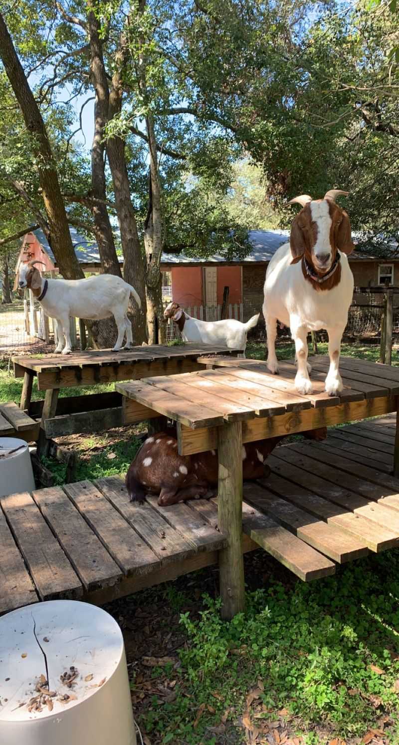 Why This Little Ranch Is Worth the Drive Why This Little Ranch Is Worth the Drive