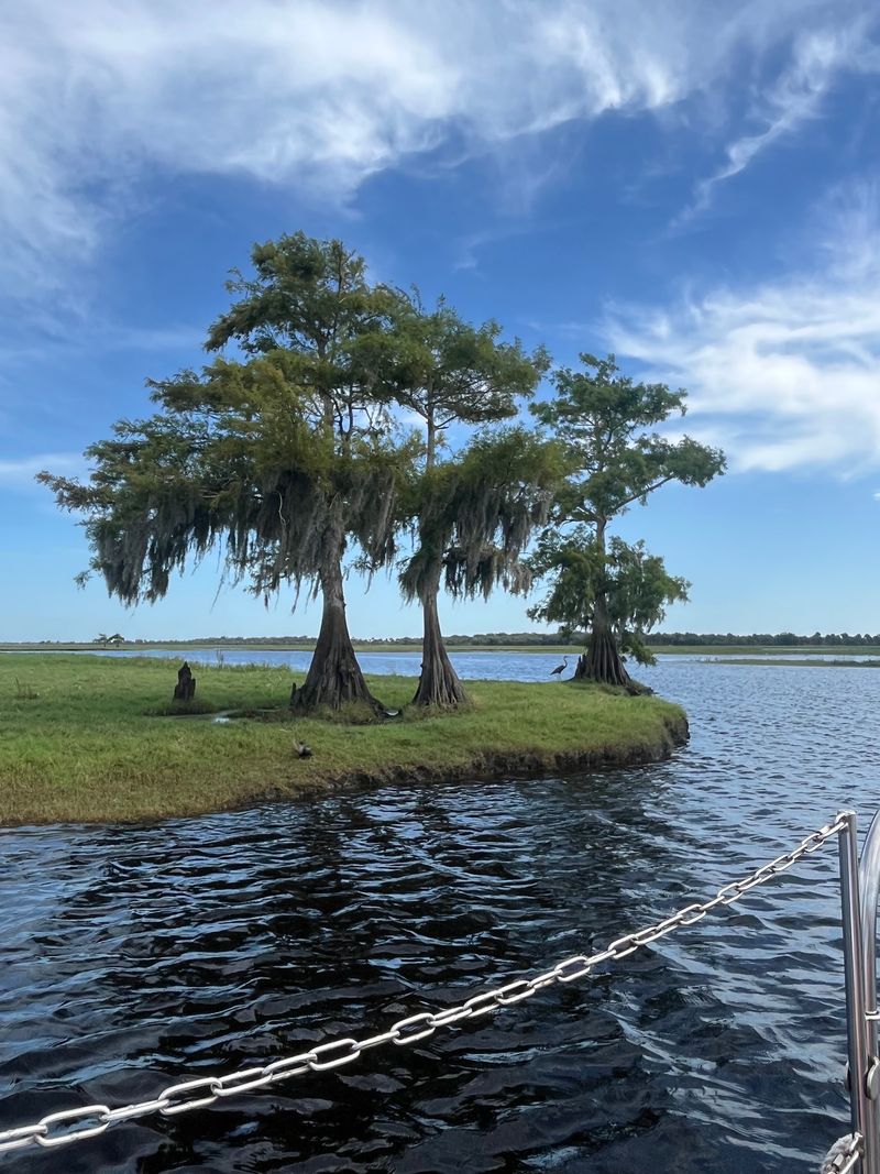 Why This Old Florida Ride Earns a Spot on Your List Why This Old Florida Ride Earns a Spot on Your List