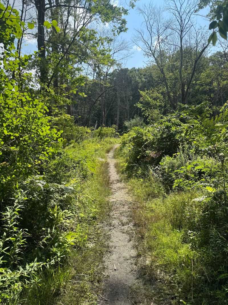 Why This Quiet Escape Earns a Spot on Your List
