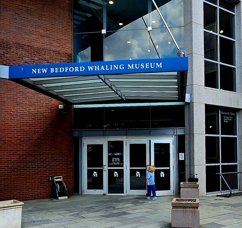 Why This Whale of a Museum Earns a Spot on Your Fall List Why This Whale of a Museum Earns a Spot on Your Fall List