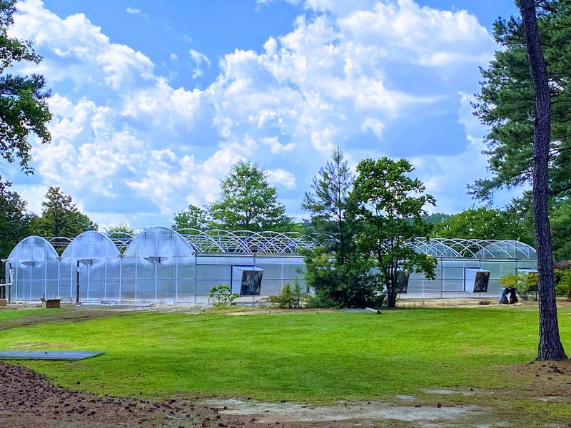 Why a College Keeps a Garden