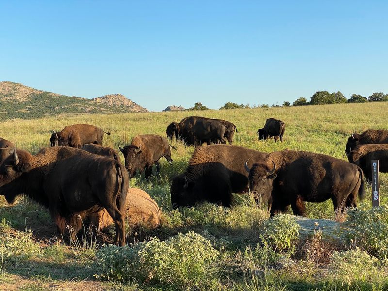 Why a Fall Visit Belongs on Your List Why a Fall Visit Belongs on Your List