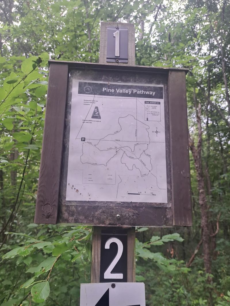 Why a Map Belongs in Your Pocket