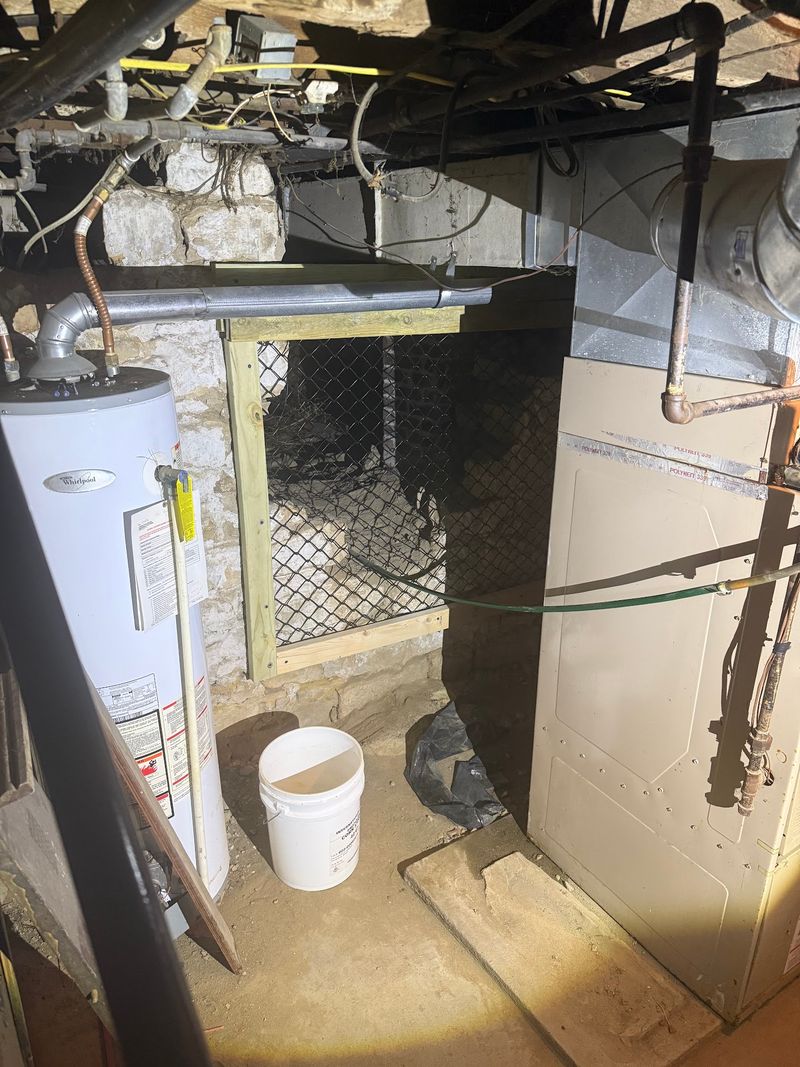 Why the Basement Door Gets So Much Attention Why the Basement Door Gets So Much Attention