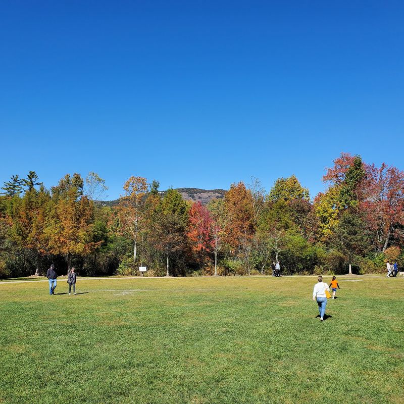 Why the Green Deserves a Spot on Your Fall Route Why the Green Deserves a Spot on Your Fall Route