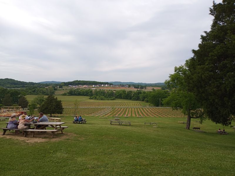 Why the Hill Keeps Calling Locals Back