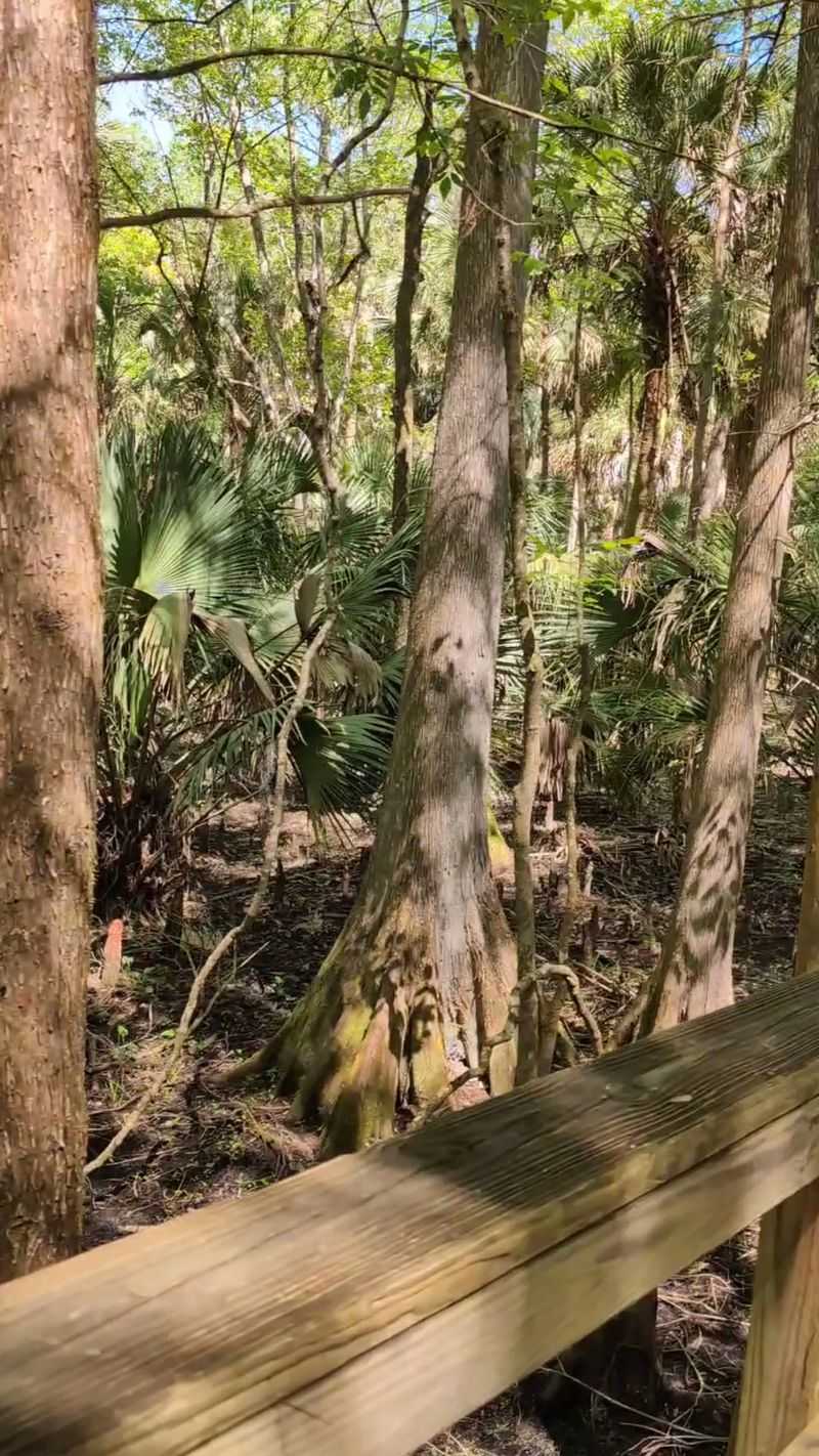 Why the Quieter Gate Deserves Your Day Why the Quieter Gate Deserves Your Day