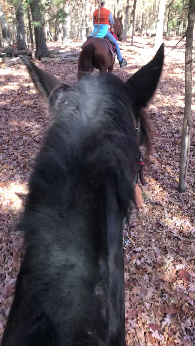 Why the Trail Is Worth the Trip