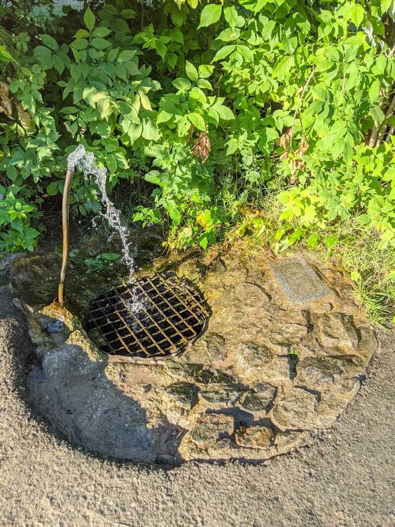 Why the Water Flows With No Pump Why the Water Flows With No Pump