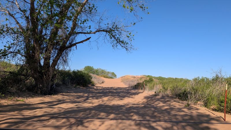Wide Open Sand and Tight Brushy Trails Wide Open Sand and Tight Brushy Trails