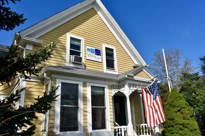 Wild Care, Eastham, MA