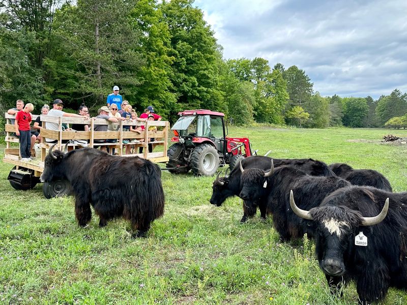Wilderness Valley Farm Wilderness Valley Farm