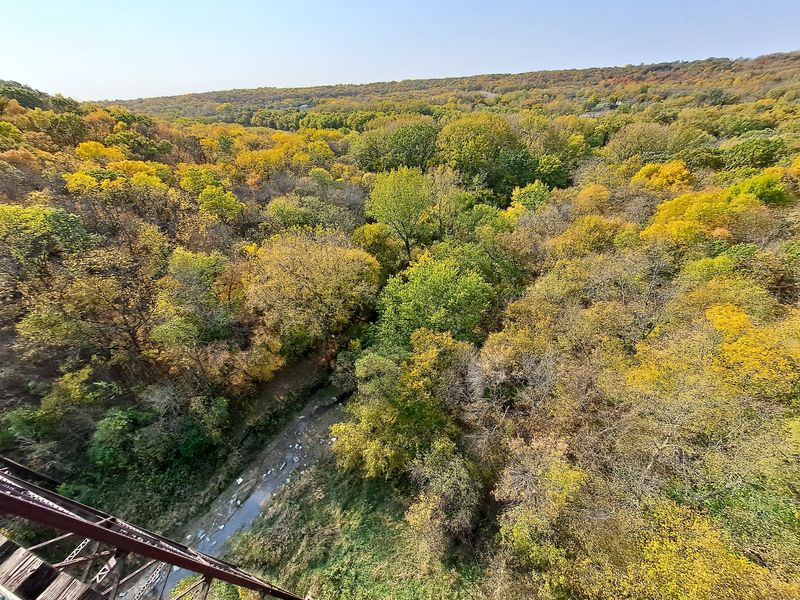 Wildlife Along the Tracks